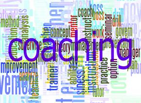 Mentoring word cluster